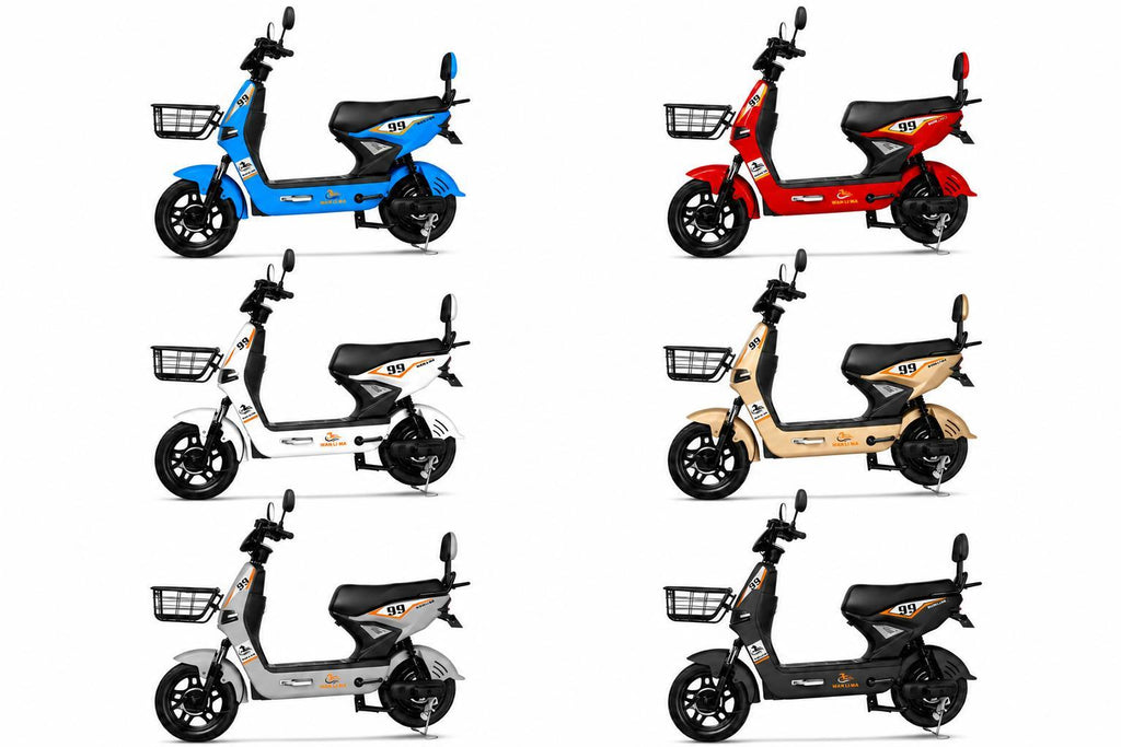 Bicicleta Elétrica Z2